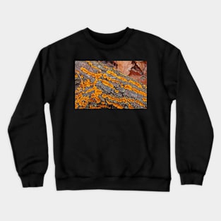 Rivers of Gold Crewneck Sweatshirt